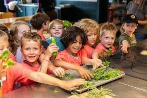 Farmer, Forester, Chef at Powisset Farm Dover